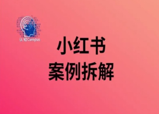 小红书案例拆解，深度解读小红书40万粉-圆梦资源网