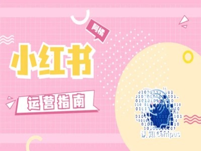 小红书运营指南，没有套路，全是经验-圆梦资源网