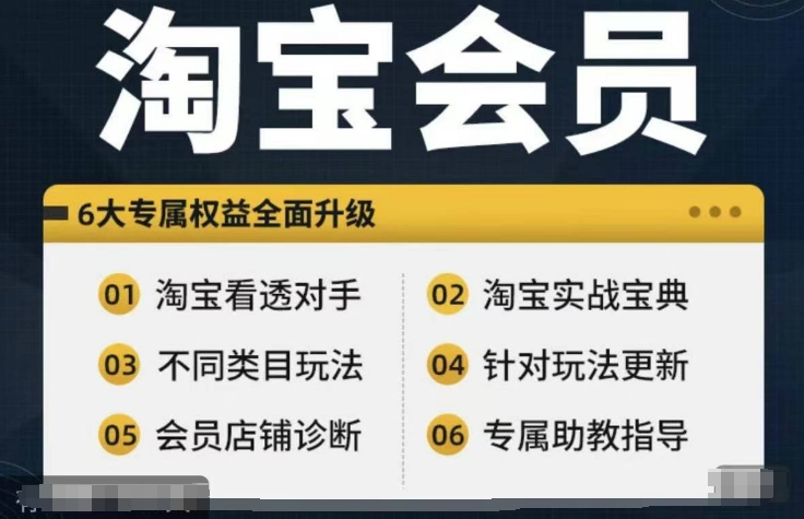 淘宝会员【淘宝所有课程，全面分析对手】，初级到高手全系实战宝典-圆梦资源网