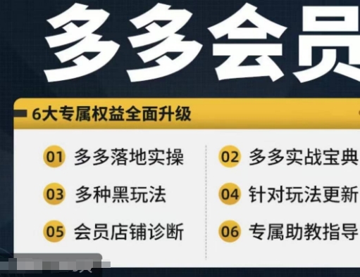 拼多多会员，拼多多实战宝典+实战落地实操，从新手到高阶内容全面覆盖-圆梦资源网