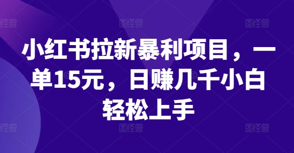 小红书拉新暴利项目，一单15元，日赚几千小白轻松上手【揭秘】-圆梦资源网