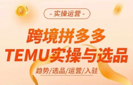 跨境拼多多TEMU实操与选品，多多temu跨境选品运营实操-圆梦资源网