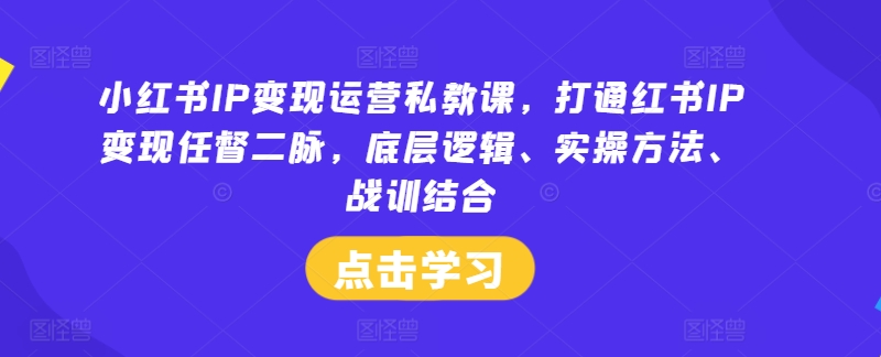 小红书IP变现运营私教课，打通红书IP变现任督二脉，底层逻辑、实操方法、战训结合-圆梦资源网