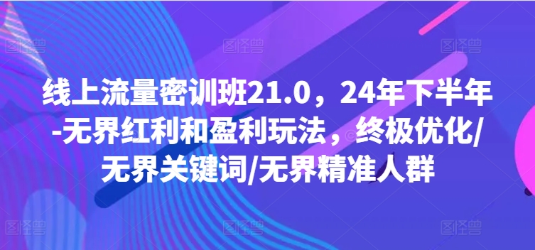 线上流量密训班21.0，24年下半年-无界红利和盈利玩法，终极优化/无界关键词/无界精准人群-圆梦资源网