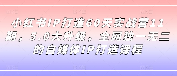 小红书IP打造60天实战营11期，5.0大升级，全网独一无二的自媒体IP打造课程-圆梦资源网