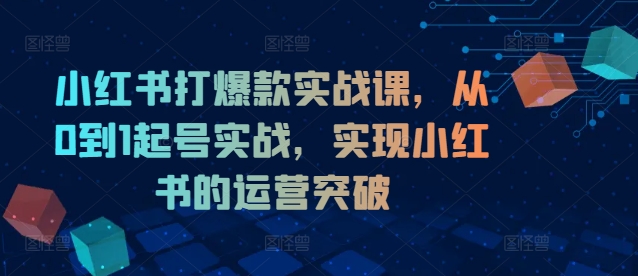小红书打爆款实战课，从0到1起号实战，实现小红书的运营突破-圆梦资源网