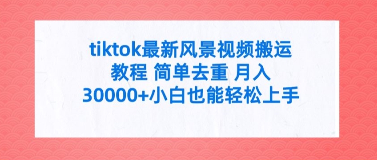 tiktok最新风景视频搬运教程 简单去重 月入3W+小白也能轻松上手【揭秘】-圆梦资源网