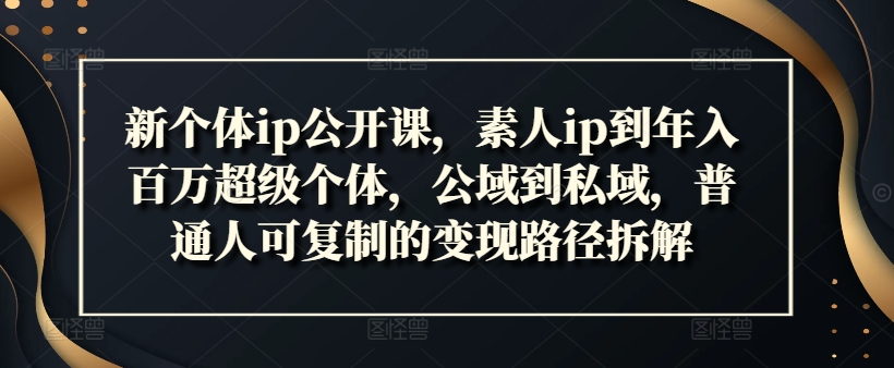 新个体ip公开课，素人ip到年入百万超级个体，公域到私域，普通人可复制的变现路径拆解-圆梦资源网