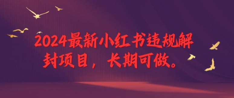 2024最新小红书违规解封项目，长期可做，一个可以做到退休的项目【揭秘】-圆梦资源网