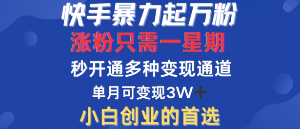 快手暴力起万粉，涨粉只需一星期，多种变现模式，直接秒开万合，单月变现过W【揭秘】-圆梦资源网