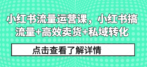 小红书流量运营课，小红书搞流量+高效卖货+私域转化-圆梦资源网