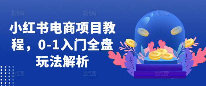 小红书电商项目教程，0-1入门全盘玩法解析-圆梦资源网