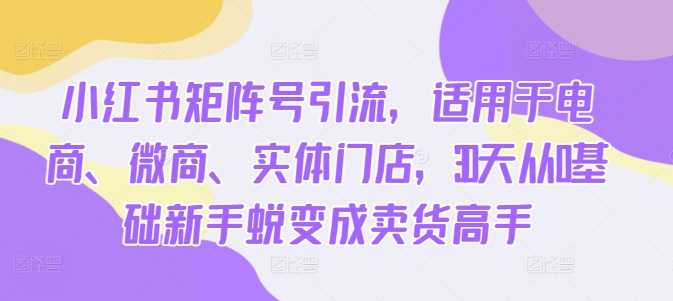 小红书矩阵号引流，适用于电商、微商、实体门店，30天从0基础新手蜕变成卖货高手-圆梦资源网