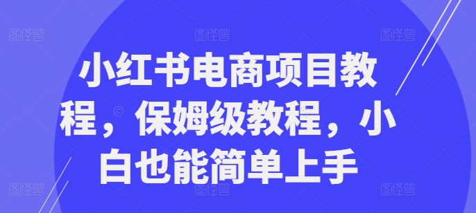 小红书电商项目教程，保姆级教程，小白也能简单上手-圆梦资源网