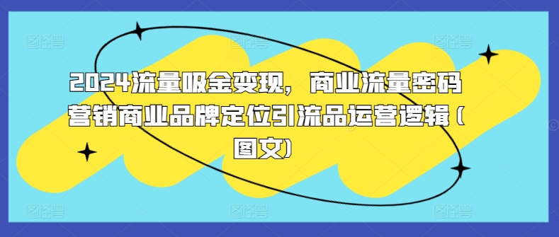 2024流量吸金变现，商业流量密码营销商业品牌定位引流品运营逻辑(图文)-圆梦资源网