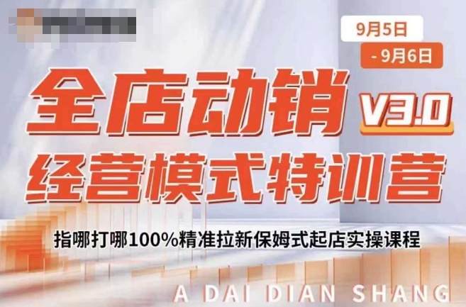 全店动销经营模式特训营，指哪打哪100%精准拉新保姆式起店实操课程-圆梦资源网