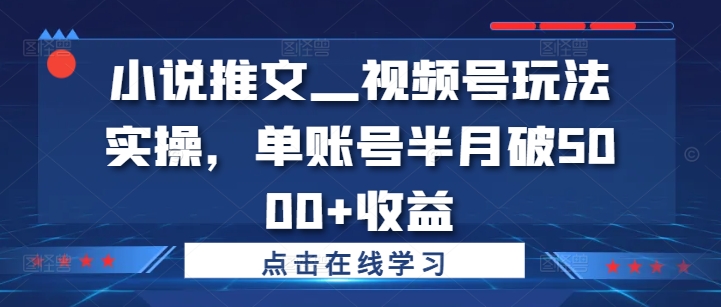 小说推文—视频号玩法实操，单账号半月破5000+收益-圆梦资源网