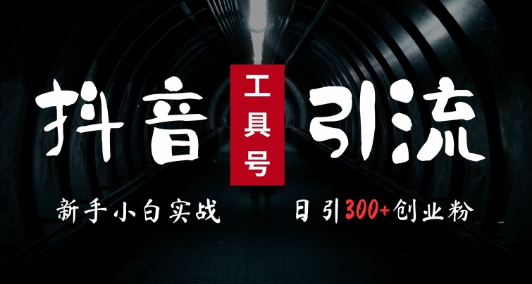 2024最新抖音工具号引流玩法，高效日引300+创业粉，当天变现5k，小白也可成为实战高手-圆梦资源网