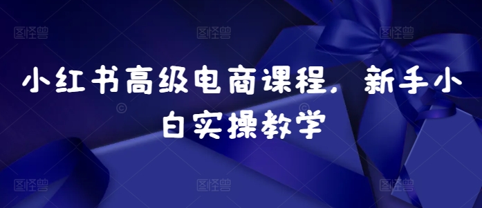 小红书高级电商课程，新手小白实操教学-圆梦资源网