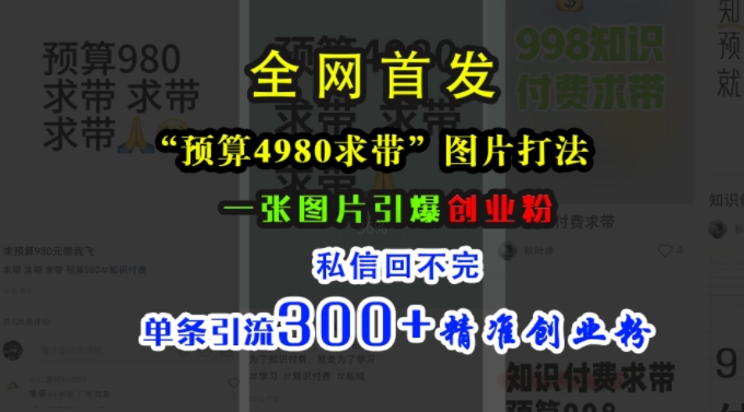 小红书“预算4980带我飞”图片打法，一张图片引爆创业粉，私信回不完，单条引流300+精准创业粉-圆梦资源网