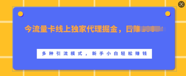 流量卡线上独家代理掘金，日入1k+ ，多种引流模式，新手小白轻松上手【揭秘】-圆梦资源网