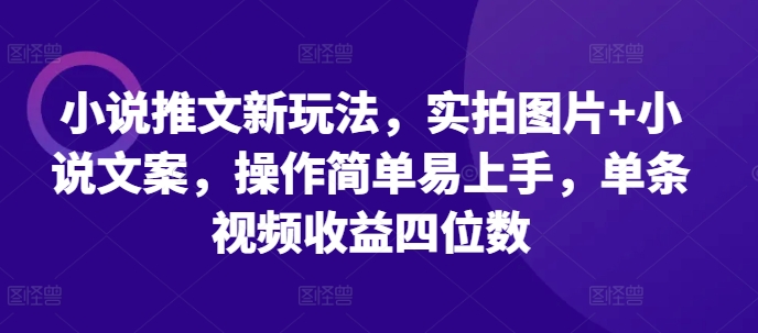 小说推文新玩法，实拍图片+小说文案，操作简单易上手，单条视频收益四位数-圆梦资源网