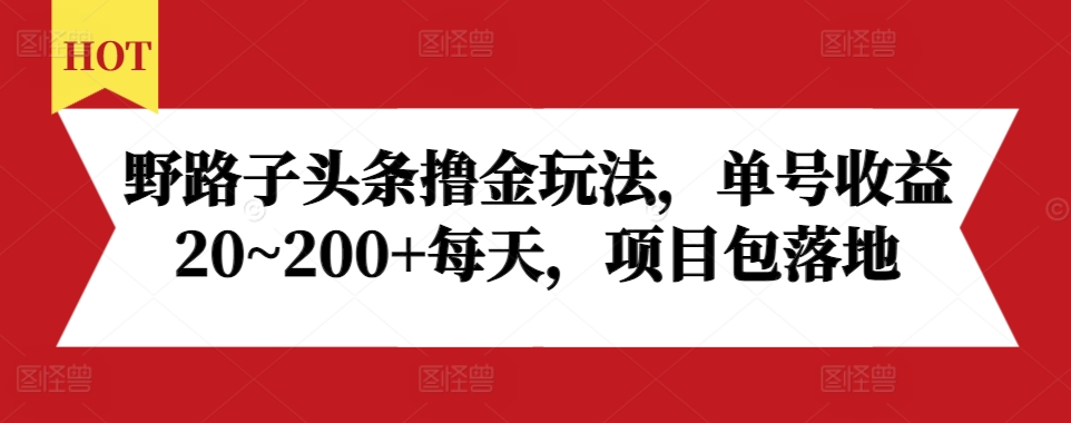 野路子头条撸金玩法，单号收益20~200+每天，项目包落地-圆梦资源网