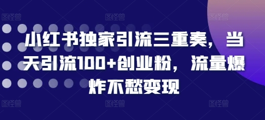 小红书独家引流三重奏，当天引流100+创业粉，流量爆炸不愁变现【揭秘】-圆梦资源网