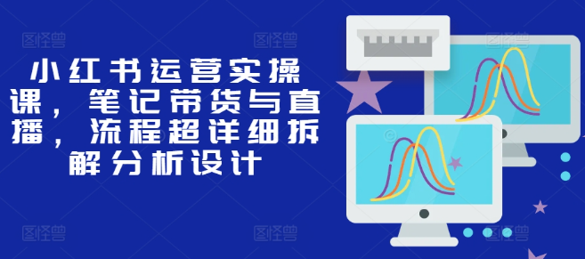 小红书运营实操课，笔记带货与直播，流程超详细拆解分析设计-圆梦资源网