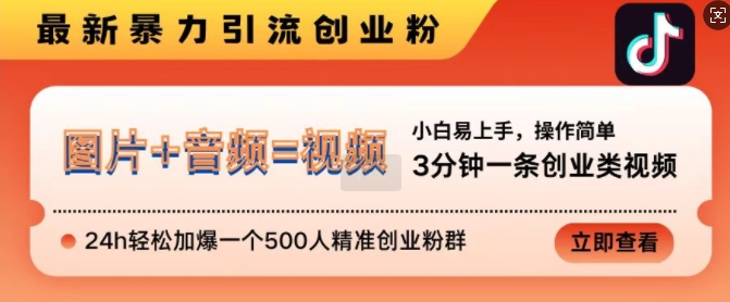 抖音最新暴力引流创业粉，3分钟一条创业类视频，24h轻松加爆一个500人精准创业粉群【揭秘】-圆梦资源网