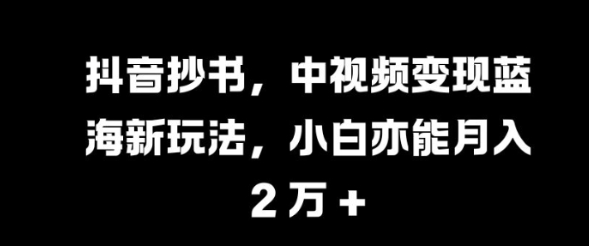 抖音抄书，中视频变现蓝海新玩法，小白亦能月入 过W【揭秘】-圆梦资源网