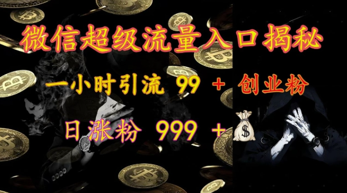 微信超级流量入口揭秘：一小时引流 99 + 创业粉，日涨粉 999 +-圆梦资源网