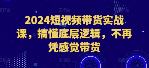 2024短视频带货实战课，搞懂底层逻辑，不再凭感觉带货-圆梦资源网