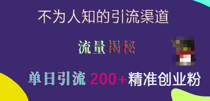 不为人知的引流渠道，流量揭秘，实测单日引流200+精准创业粉【揭秘】-圆梦资源网