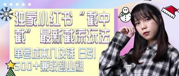 最新小红书截流玩法 独家截中截 单号成本几块钱 日引500+CY粉JZ粉-圆梦资源网
