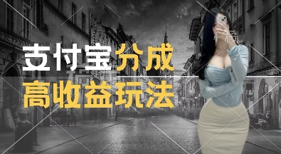 支付宝分成计划新玩法，利用交通事故视频，赚收益，轻松月入过W，操作简单【揭秘】-圆梦资源网