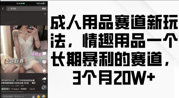 成人用品赛道新玩法，情趣用品一个长期暴利的赛道，3个月收益20个【揭秘】-圆梦资源网