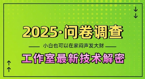 2025问卷调查最新工作室技术解密：一个人在家也可以闷声发大财，小白一天2张，可矩阵放大【揭秘】-圆梦资源网