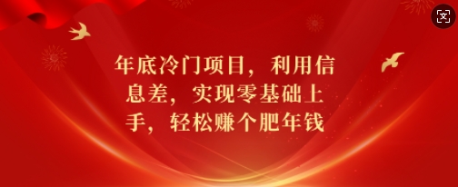 年底冷门项目，利用信息差，实现零基础上手，轻松赚个肥年钱【揭秘】-圆梦资源网