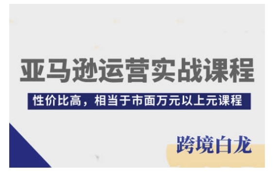 亚马逊运营实战课程，亚马逊从入门到精通，性价比高，相当于市面万元以上元课程-圆梦资源网