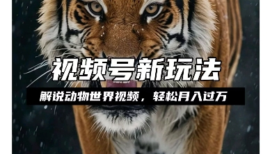 利用动物世界解说视频，赚分成计划收益，轻松月入过W，操作简单【揭秘】-圆梦资源网