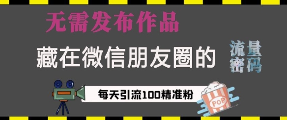 藏在微信朋友圈的流量密码，无需发布作品，单日引流100+精准创业粉【揭秘】-圆梦资源网