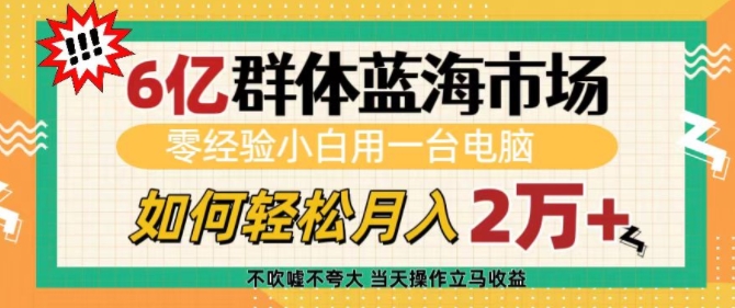 6亿群体蓝海市场，零经验小白用一台电脑，如何轻松月入过w【揭秘】-圆梦资源网