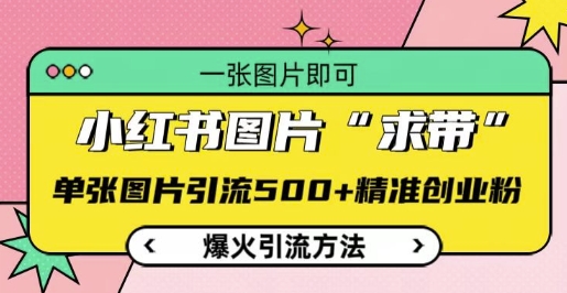 小红书图片‘求带’爆火引流法，单张图片引流500+精准创业粉【揭秘】-圆梦资源网