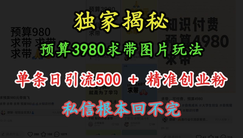 预算3980求带 图片玩法，单条日引流500+精准创业粉，私信根本回不完-圆梦资源网