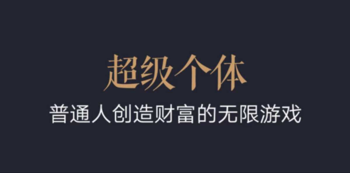 超级个体：2024-2025翻盘指南，普通人创造财富的无限游戏-圆梦资源网