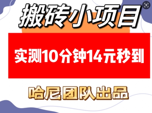 搬砖小项目，实测10分钟14元秒到，每天稳定几张(赠送必看稳定)-圆梦资源网