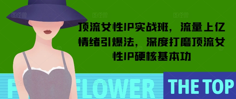 顶流女性IP实战班，流量上亿情绪引爆法，深度打磨顶流女性IP硬核基本功-圆梦资源网
