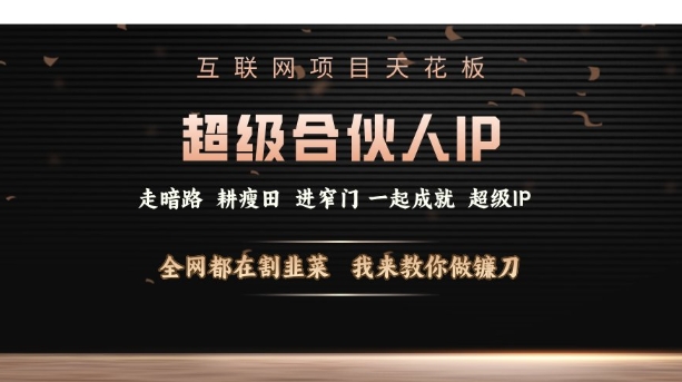 互联网项目天花板，超级合伙人IP，全网都在割韭菜，我来教你做镰刀【仅揭秘】-圆梦资源网