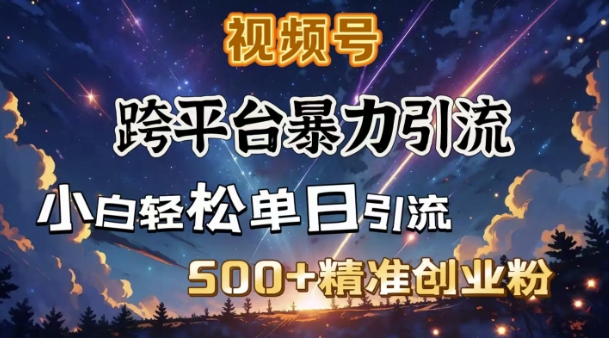 跨平台暴力引流，私域完美闭环，日引500+精准创业粉-圆梦资源网